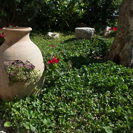 Grandi Trulli Bed & Breakfast Alberobello Extérieur photo